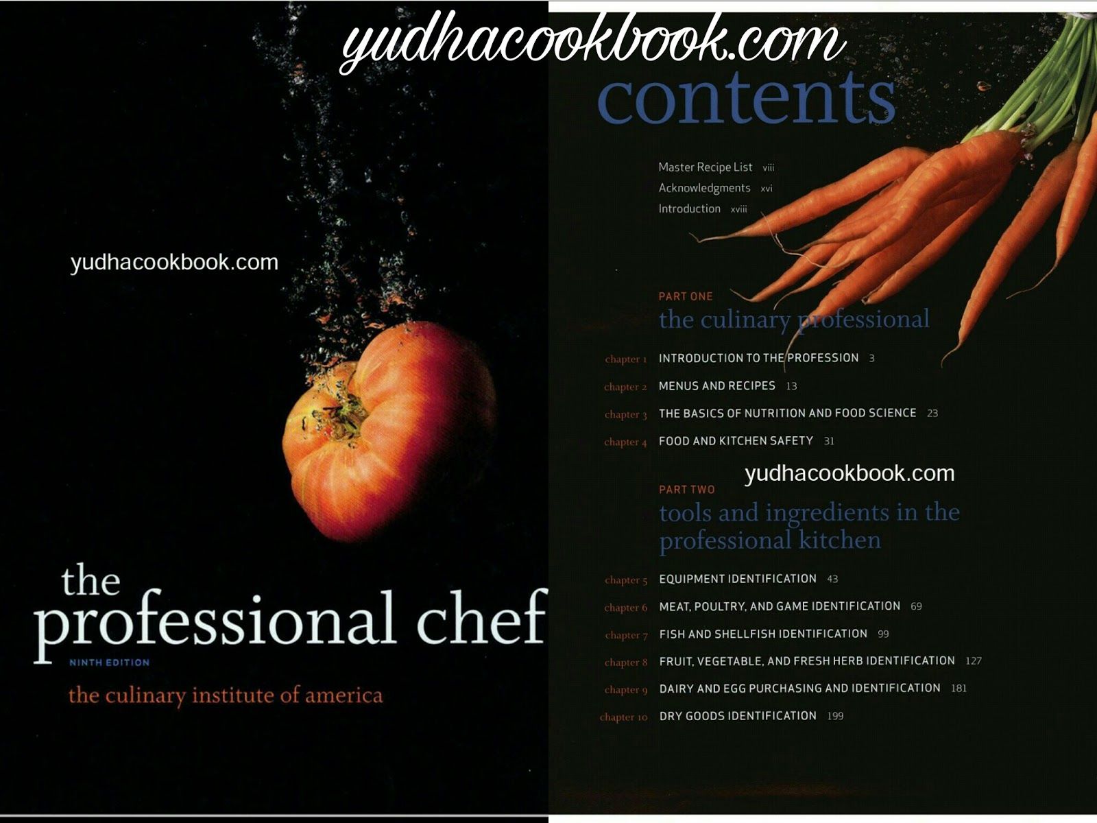How to cook everything the basics pdf